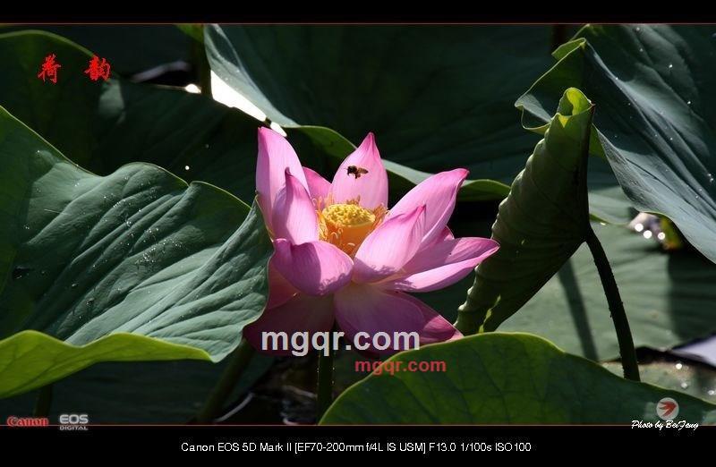 北方往事的第24张照片