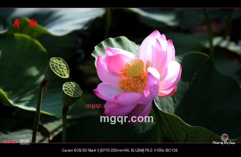 北方往事的第23张照片