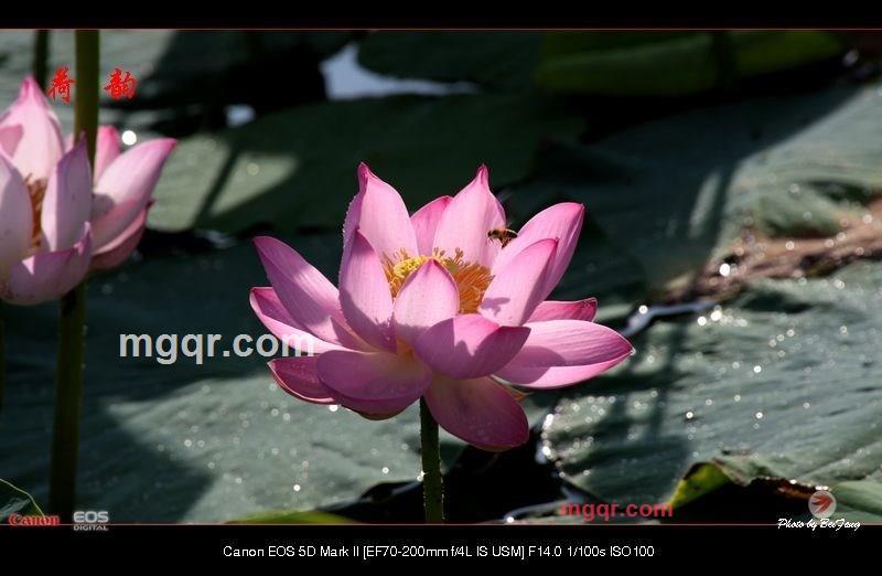 北方往事的第22张照片