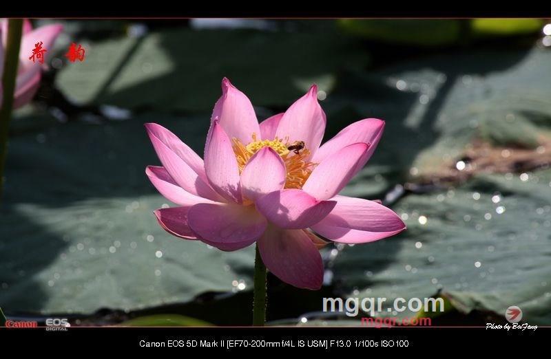 北方往事的第21张照片