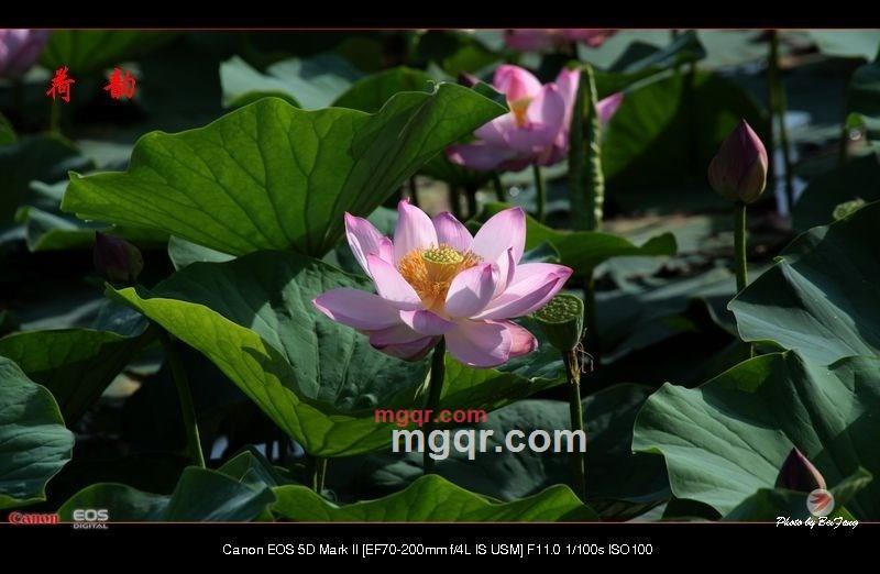 北方往事的第20张照片