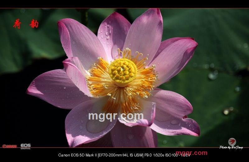 北方往事的第19张照片