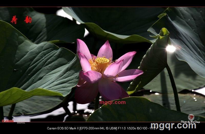 北方往事的第18张照片