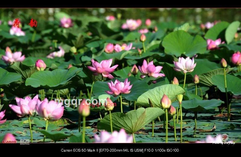 北方往事的第17张照片