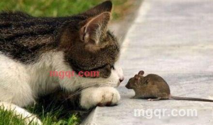 cler的第3张照片