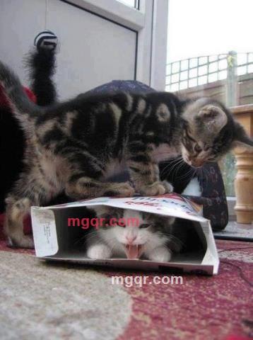 jeffchu的第3张照片