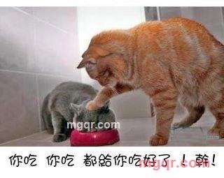 jeffchu的第1张照片