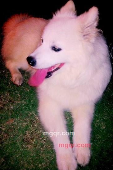 ryankong的第16张照片