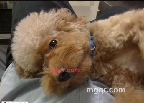 ryankong的第4张照片