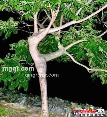 A爱来的第1张照片