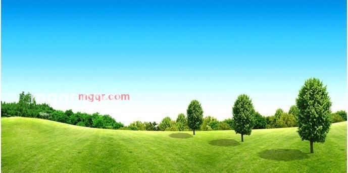 perfect 10的第3张照片