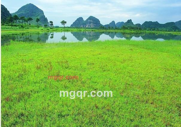 perfect 10的第1张照片