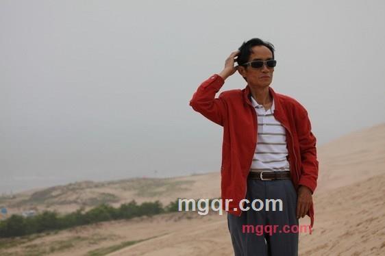 野山松林的第1张照片