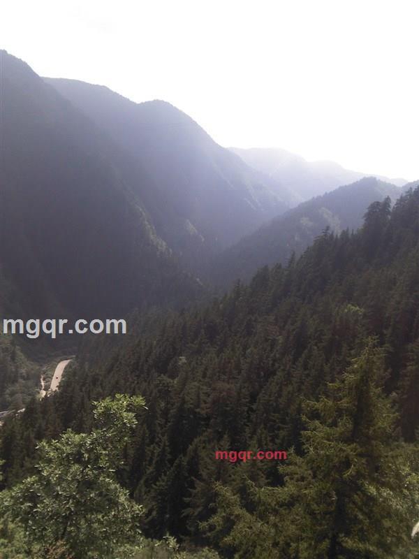 要到哪去的第3张照片