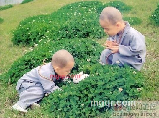 保山情人的第1张照片