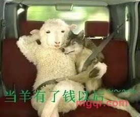 阿.0成的第4张照片