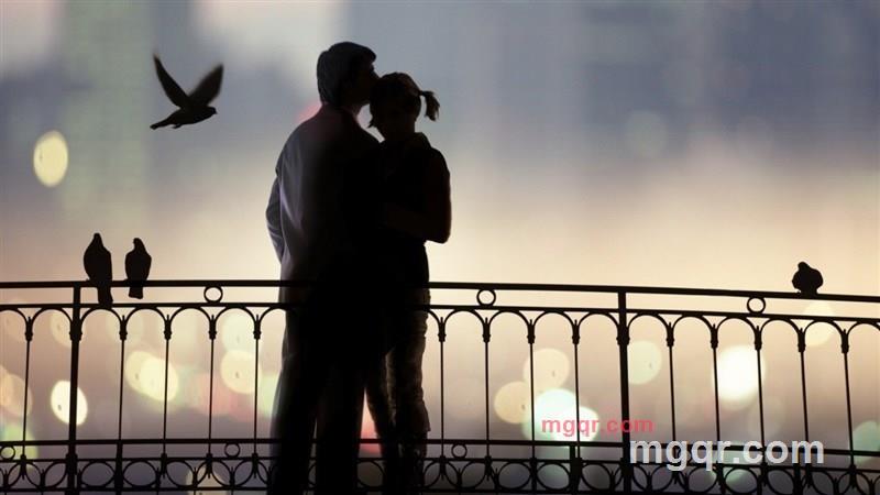 也请的第2张照片