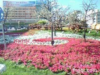 色到入魔的第2张照片