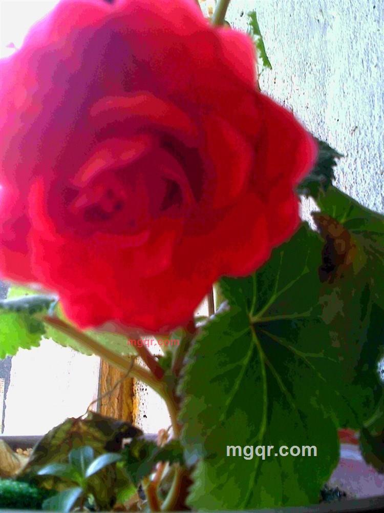 色到入魔的第1张照片