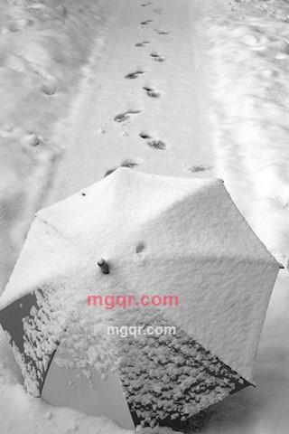 夜色撩人的第1张照片