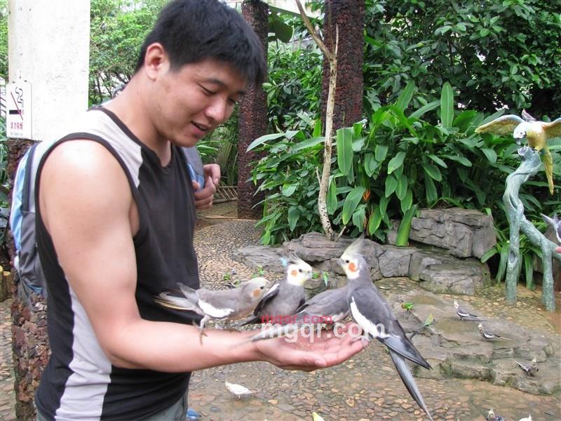 夜，独行的第1张照片