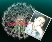 孙华强的第6张照片