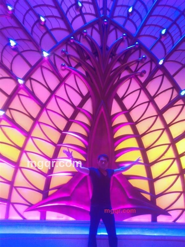 会员902236的第1张照片