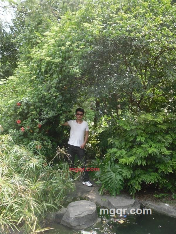 情醉红尘的第4张照片