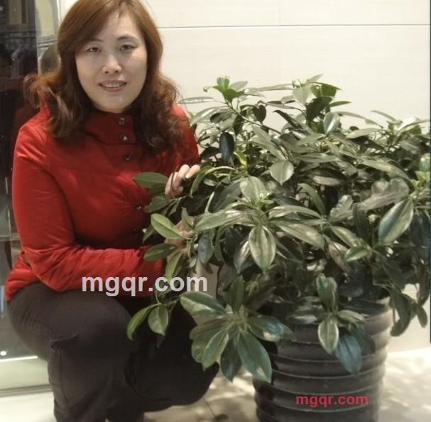 重庆人漂的第2张照片