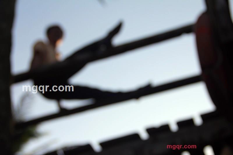 花间酒214的第1张照片