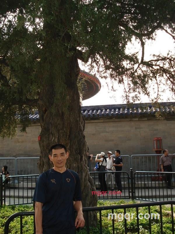 今夜给你的第3张照片