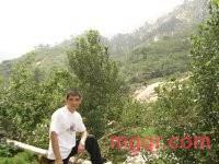 今夜给你的第5张照片