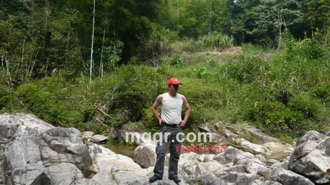 与雪花共舞的第5张照片