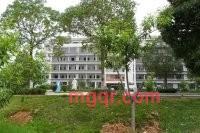 城市狼人哦的第2张照片