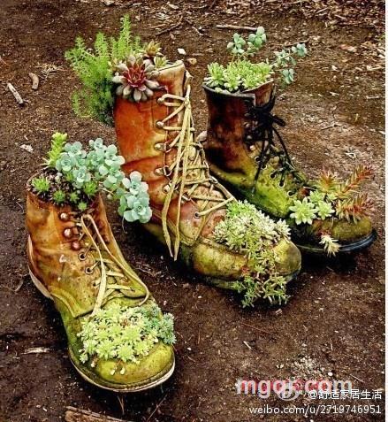 你真的有点坏的第1张照片