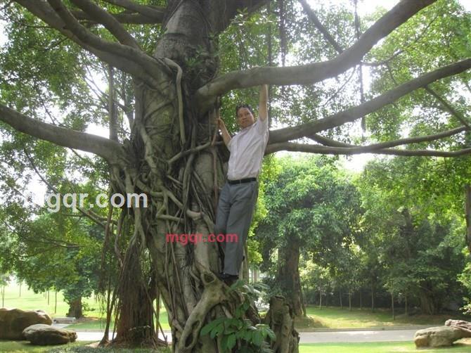 找情侣21的第3张照片