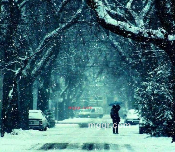 男人三十五88的第1张照片