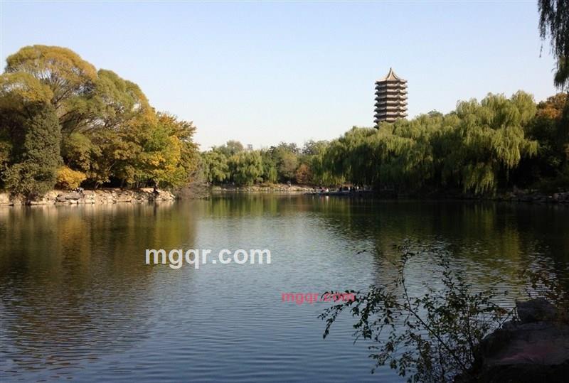 享受性情的第1张照片