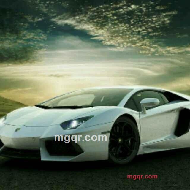 飛天鳥的第2张照片