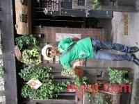 同样他年的第3张照片