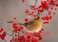 晴朗天气的第2张照片