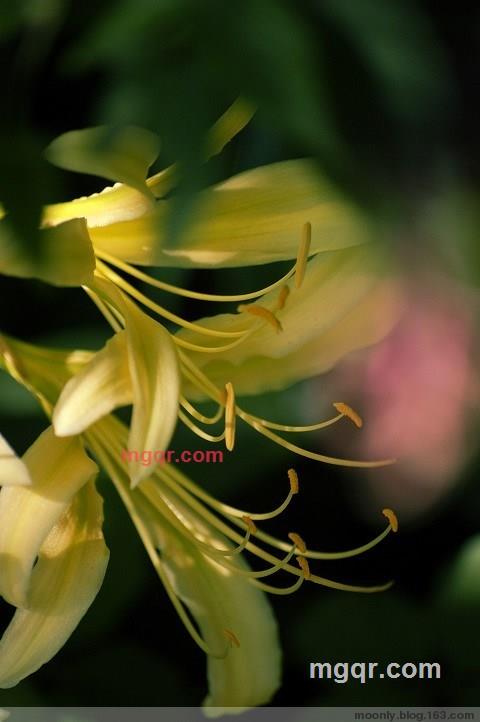 雨静微风的第5张照片