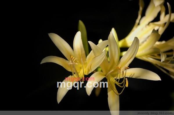 雨静微风的第4张照片