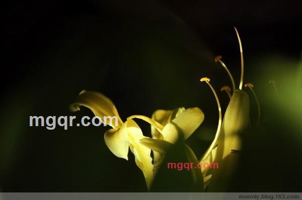 雨静微风的第3张照片