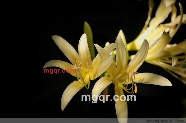 雨静微风的第2张照片