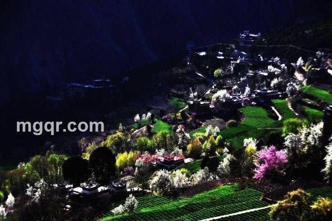 深圳高飞的第3张照片