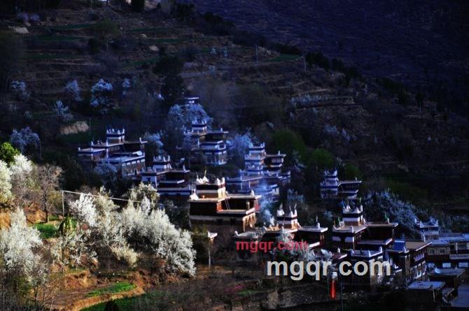 深圳高飞的第2张照片