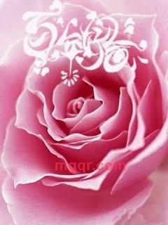 吴永清的第5张照片