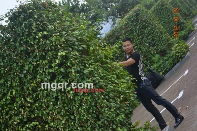 な愛は╮/hsh的第4张照片