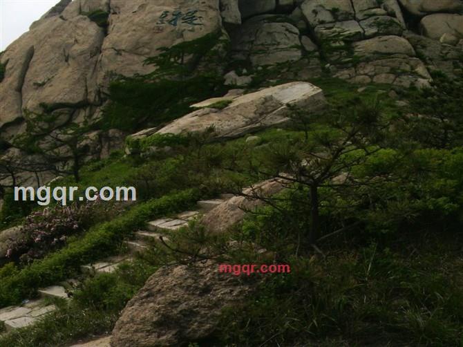 小小小龙的第2张照片